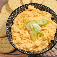 Slow Cooker Buffalo Chicken Dip